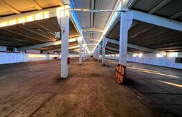 Proprietate industrială, hale 3.343 mp, teren 9.814 mp, zona Blaj 