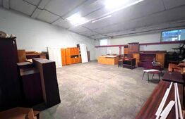 Hale Industriale 4700 mp Utili + Teren 11.400 mp | Blaj