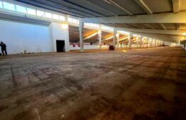 Hale Industriale 4700 mp Utili + Teren 11.400 mp | Blaj