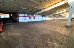 Hale Industriale 4700 mp Utili + Teren 11.400 mp | Blaj