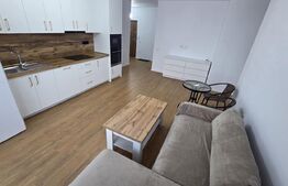 Apartament cu 3 camere, 65 mp, 2 băi și balcon, prima închiriere, zona Ampoi 3