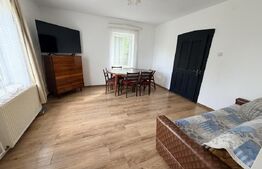 Proprietate cu două case, 145 mp, anexe si teren 1.300 mp, Pâclișa -Alba Iulia