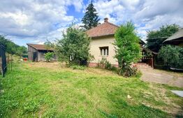 Proprietate cu două case, 145 mp, anexe si teren 1.300 mp, Pâclișa -Alba Iulia
