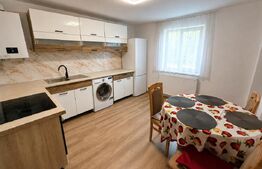 Proprietate cu două case, 145 mp, anexe si teren 1.300 mp, Pâclișa -Alba Iulia