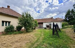 Proprietate cu două case, 145 mp, anexe si teren 1.300 mp, Pâclișa -Alba Iulia
