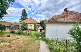 Proprietate cu două case, 145 mp, anexe si teren 1.300 mp, Pâclișa -Alba Iulia