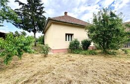 Proprietate cu două case, 145 mp, anexe si teren 1.300 mp, Pâclișa -Alba Iulia