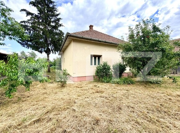 Casa de vânzare 5 camere Exterior Sud - 200567CV | BLITZ Alba Iulia | Poza9
