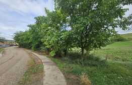 Teren intravilan 4.200 mp în Sâncel, Toate utilitățile, Zonă liniștită