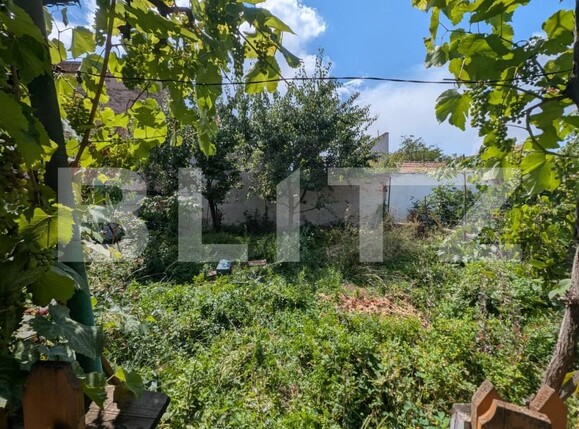 Casa de vânzare 6 camere Central - 200636CV | BLITZ Alba Iulia | Poza2