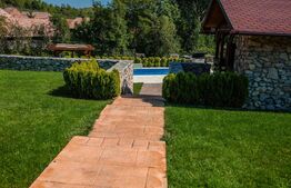 Pensiune cu piscină și teren de 3.000 mp | Zonă turistică Livezile – Rimetea