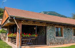 Pensiune cu piscină și teren de 3.000 mp | Zonă turistică Livezile – Rimetea