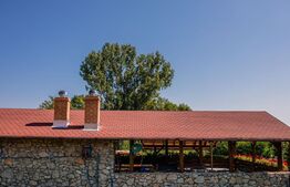 Pensiune cu piscină și teren de 3.000 mp | Zonă turistică Livezile – Rimetea