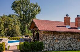 Pensiune cu piscină și teren de 3.000 mp | Zonă turistică Livezile – Rimetea