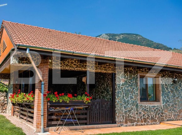 Casa de vânzare 5 camere Izvoarele (Livezile) - 200768CV | BLITZ Alba Iulia | Poza19