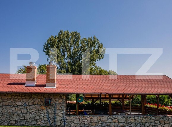 Casa de vânzare 5 camere Izvoarele (Livezile) - 200768CV | BLITZ Alba Iulia | Poza22