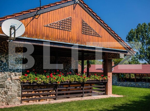 Casa de vânzare 5 camere Izvoarele (Livezile) - 200768CV | BLITZ Alba Iulia | Poza21
