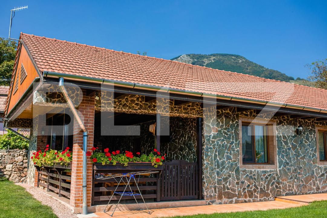 Casa de vânzare 5 camere Izvoarele (Livezile) - 200768CV | BLITZ Alba Iulia | Poza19