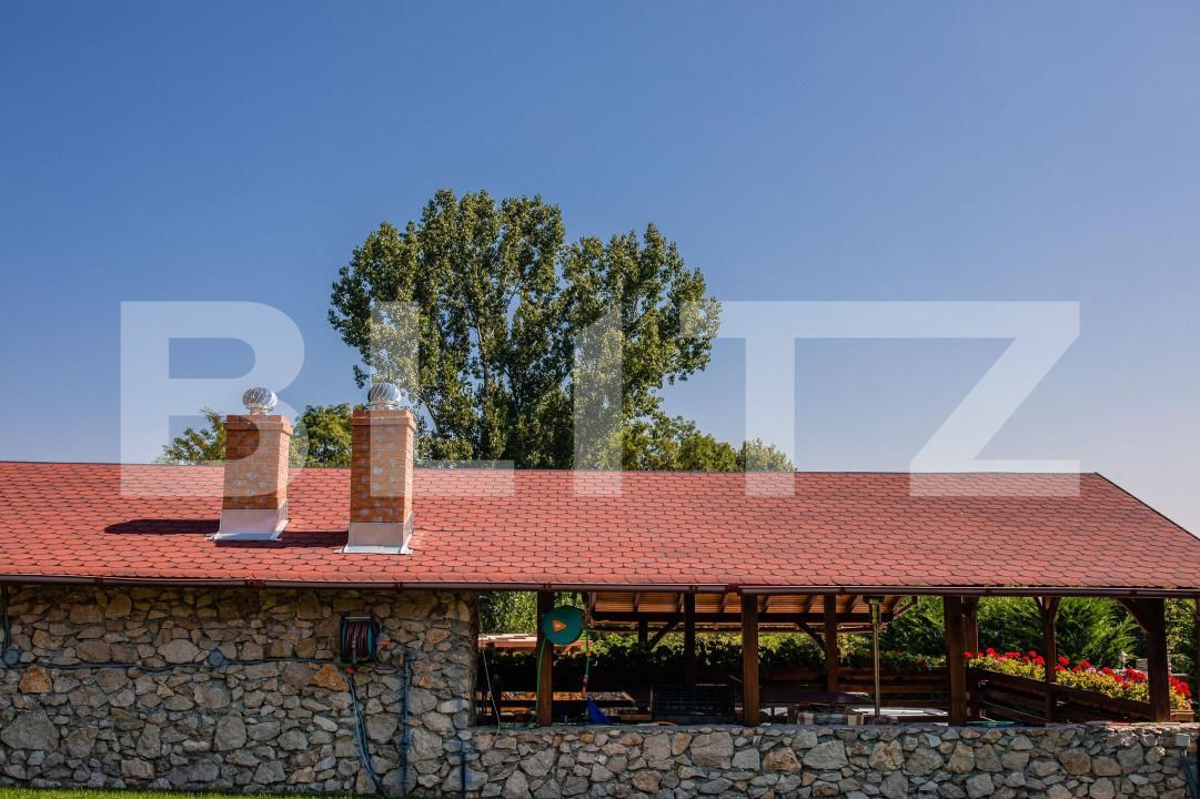 Casa de vânzare 5 camere Izvoarele (Livezile) - 200768CV | BLITZ Alba Iulia | Poza22
