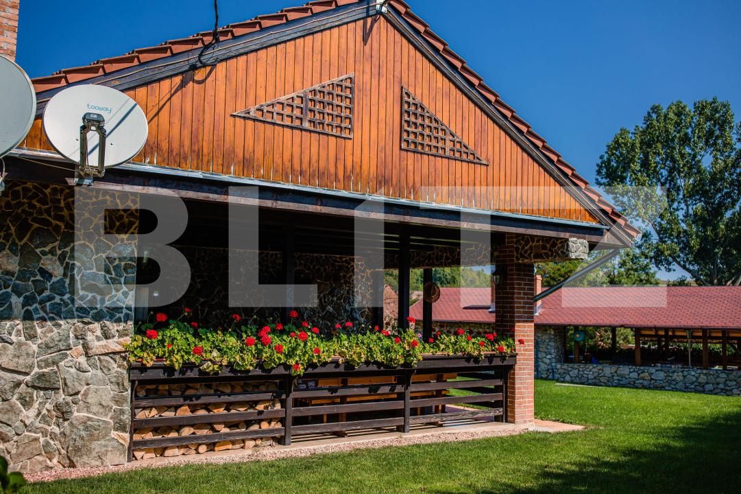Casa de vânzare 5 camere Izvoarele (Livezile) - 200768CV | BLITZ Alba Iulia | Poza21
