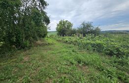 Casă de vanzare, 94 mp, teren intravilan 2.698 mp, Cisteiu de Mureș