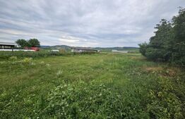 Casă de vanzare, 94 mp, teren intravilan 2.698 mp, Cisteiu de Mureș