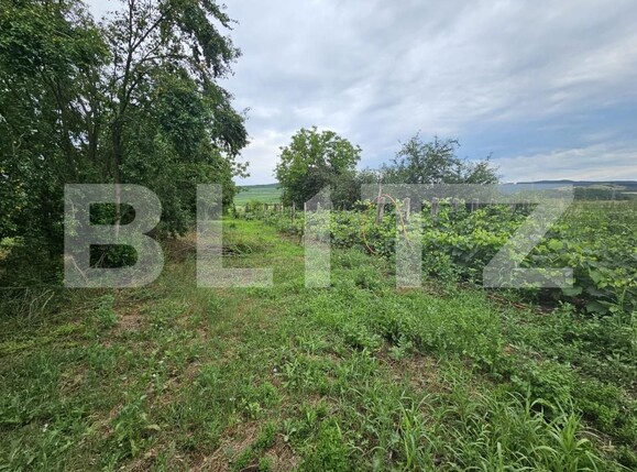 Casa de vânzare 3 camere Ocna Mures - 200862CV | BLITZ Alba Iulia | Poza17