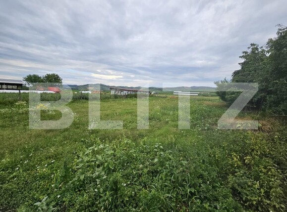 Casa de vânzare 3 camere Ocna Mures - 200862CV | BLITZ Alba Iulia | Poza18