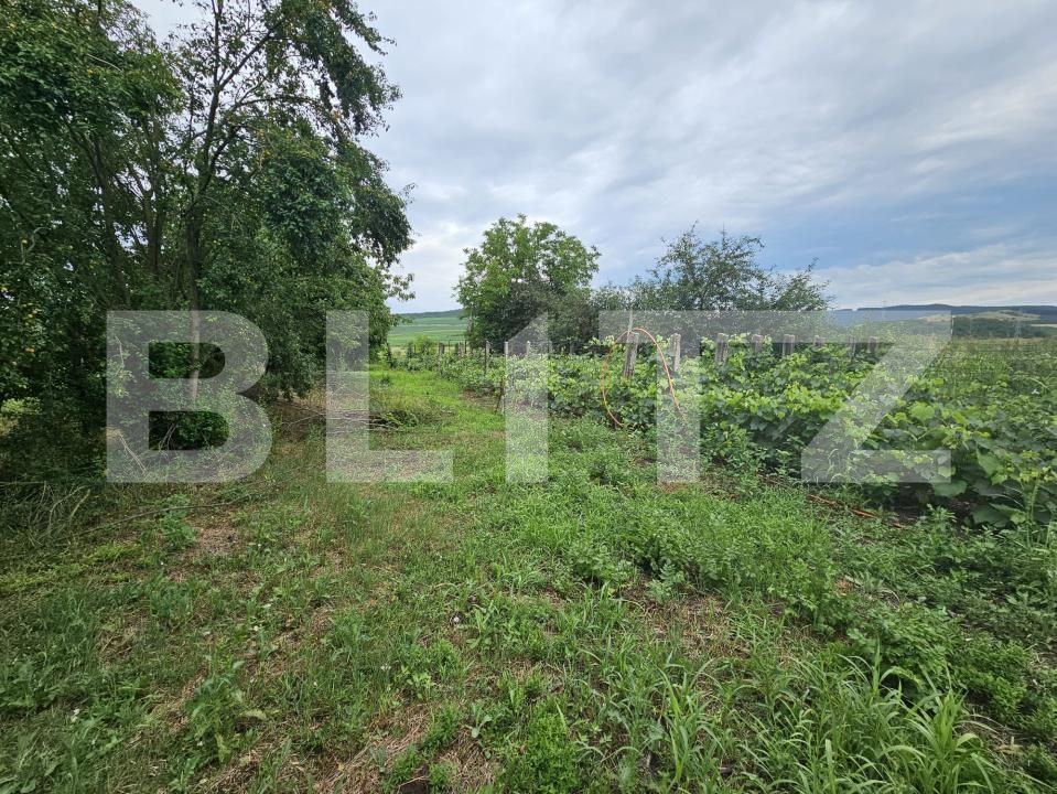 Casa de vânzare 3 camere Ocna Mures - 200862CV | BLITZ Alba Iulia | Poza17