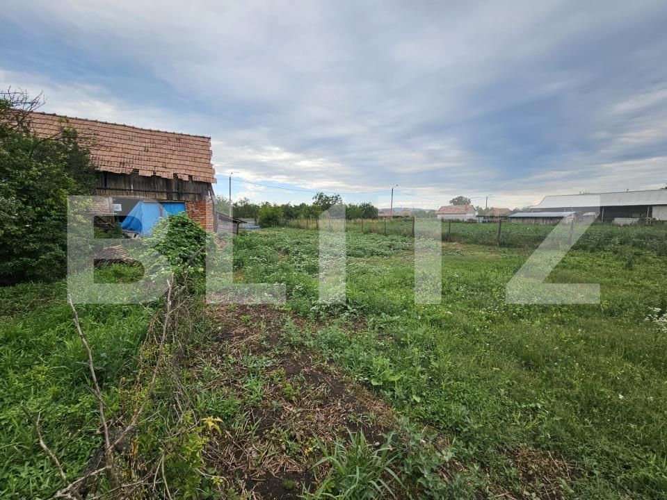 Casa de vânzare 3 camere Ocna Mures - 200862CV | BLITZ Alba Iulia | Poza16