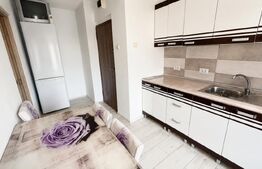 Apartament 2 camere, 48 mp, zona Cetate
