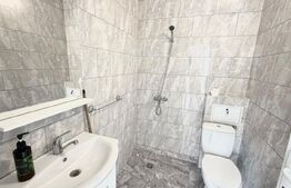 Spatiu comercial, 20 mp, zona Cetate