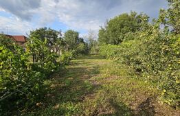 Casă de vânzare, 150 mp, teren de 870 mp, zona Piața - Sebeș