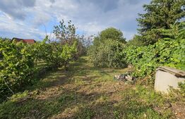 Casă de vânzare, 150 mp, teren de 870 mp, zona Piața - Sebeș