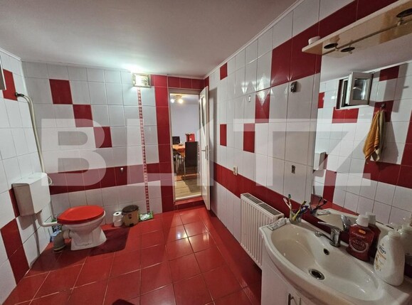 Casa de vânzare 4 camere Sebeș - 201388CV | BLITZ Alba Iulia | Poza12