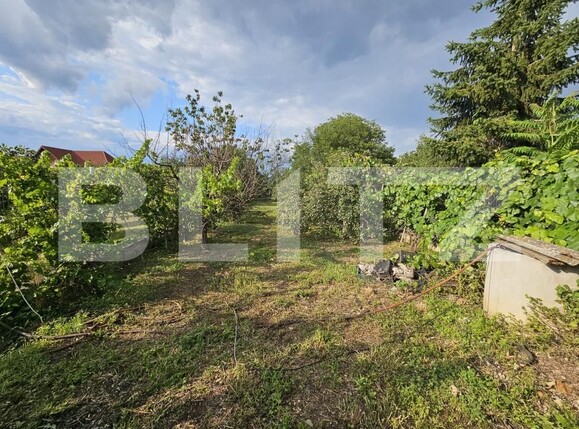 Casa de vânzare 4 camere Sebeș - 201388CV | BLITZ Alba Iulia | Poza19