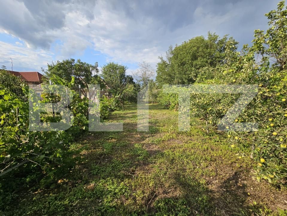 Casa de vânzare 4 camere Sebeș - 201388CV | BLITZ Alba Iulia | Poza18