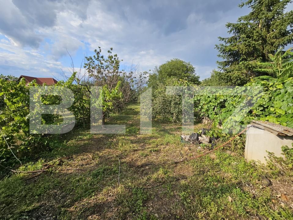 Casa de vânzare 4 camere Sebeș - 201388CV | BLITZ Alba Iulia | Poza19