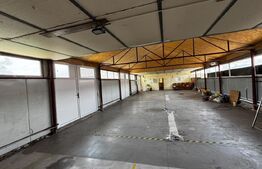 Hală de închiriat, 200 mp, zona Centru – Alba Iulia