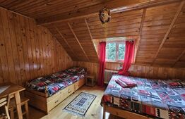 Pensiune & Complex Turistic, 12 camere, 223 mp, teren 3.740 mp, Munții Apuseni