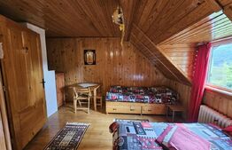 Pensiune & Complex Turistic, 12 camere, 223 mp, teren 3.740 mp, Munții Apuseni