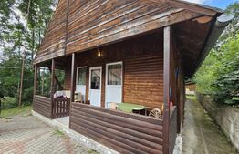 Pensiune & Complex Turistic, 12 camere, 223 mp, teren 3.740 mp, Munții Apuseni
