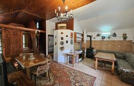 Pensiune & Complex Turistic, 12 camere, 223 mp, teren 3.740 mp, Munții Apuseni