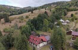 Pensiune & Complex Turistic, 12 camere, 223 mp, teren 3.740 mp, Munții Apuseni