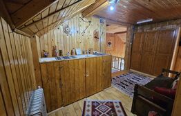 Pensiune & Complex Turistic, 12 camere, 223 mp, teren 3.740 mp, Munții Apuseni