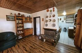 Pensiune & Complex Turistic, 12 camere, 223 mp, teren 3.740 mp, Munții Apuseni