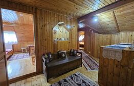 Pensiune & Complex Turistic, 12 camere, 223 mp, teren 3.740 mp, Munții Apuseni
