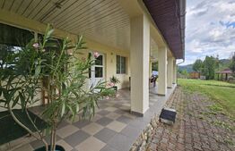 Pensiune & Complex Turistic, 12 camere, 223 mp, teren 3.740 mp, Munții Apuseni