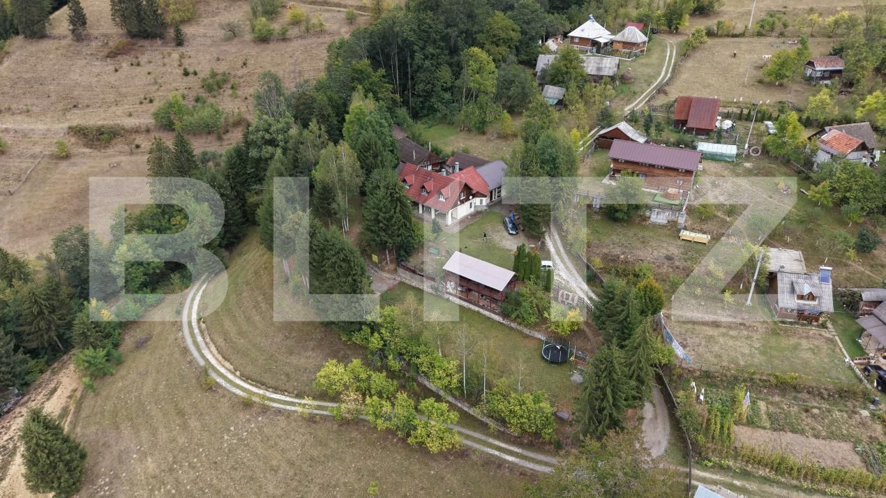 Spațiu comercial de vânzare Botesti (Campeni) - 201507SVC | BLITZ Alba Iulia | Poza9