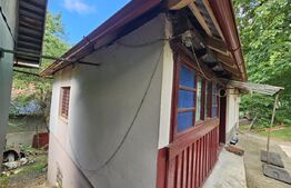 Casă de vânzare, 100 mp, teren 10.000 mp, zona Almașu Mare 